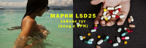 хмурый Зеленокумск