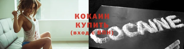 хмурый Зеленокумск