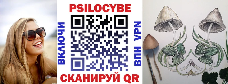 Купить закладки  Буй  Псилоцибиновые грибы Psilocybe 