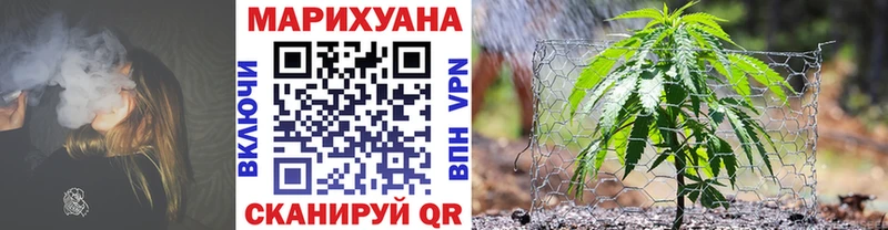 Купить где  Буй  Каннабис конопля 